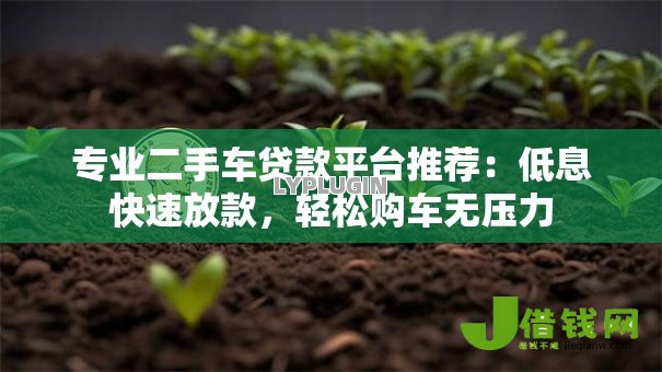 专业二手车贷款平台推荐：低息快速放款，轻松购车无压力