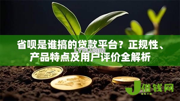 省呗是谁搞的贷款平台？正规性、产品特点及用户评价全解析