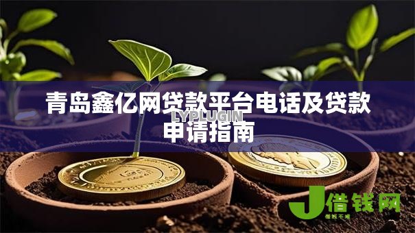 青岛鑫亿网贷款平台电话及贷款申请指南