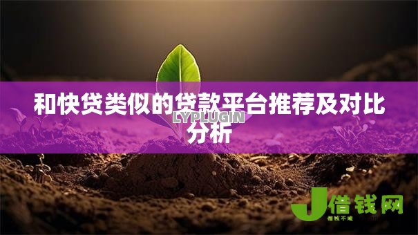 和快贷类似的贷款平台推荐及对比分析