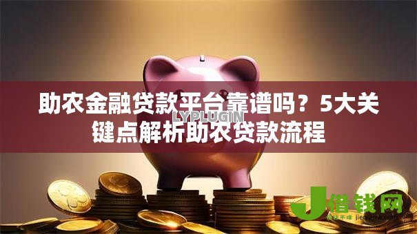 助农金融贷款平台靠谱吗？5大关键点解析助农贷款流程