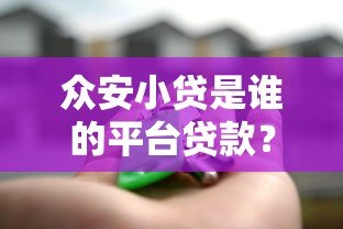 众安小贷是谁的平台贷款？背景解析与产品测评