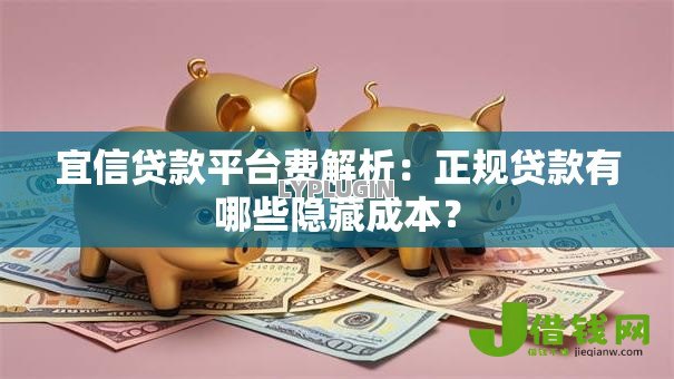 宜信贷款平台费解析：正规贷款有哪些隐藏成本？