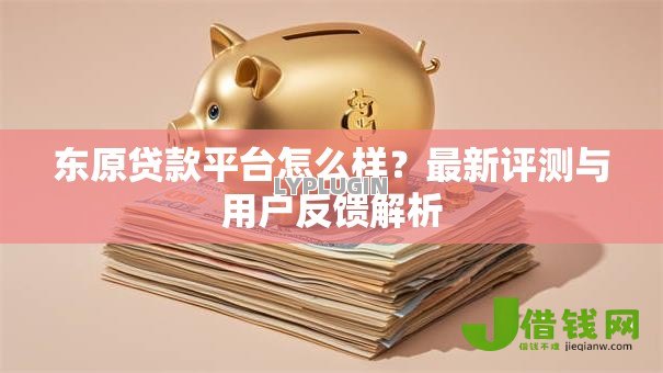 东原贷款平台怎么样？最新评测与用户反馈解析