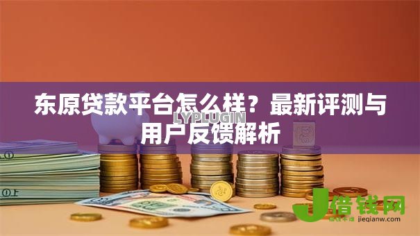 东原贷款平台怎么样？最新评测与用户反馈解析