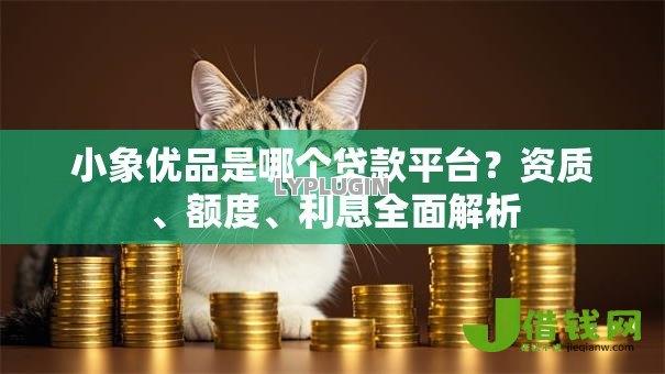 小象优品是哪个贷款平台？资质、额度、利息全面解析