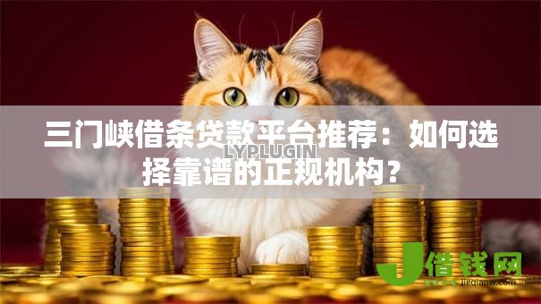 三门峡借条贷款平台推荐：如何选择靠谱的正规机构？