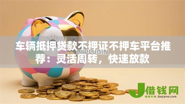 车辆抵押贷款不押证不押车平台推荐：灵活周转，快速放款