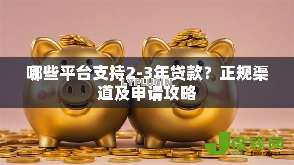 哪些平台支持2-3年贷款？正规渠道及申请攻略