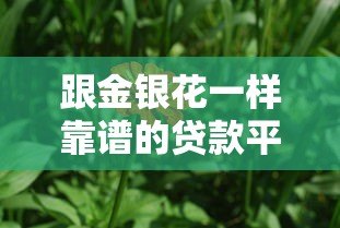 跟金银花一样靠谱的贷款平台有哪些？这5个平台值得一试