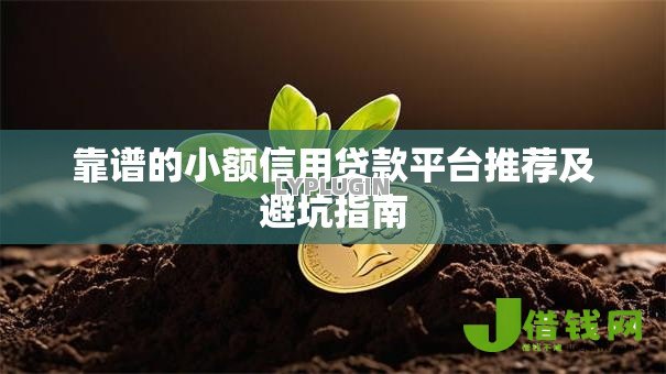 靠谱的小额信用贷款平台推荐及避坑指南 靠谱的小额信用贷款平台推荐及避坑指南