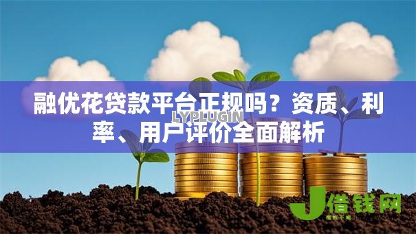 融优花贷款平台正规吗?资质、利率、用户评价全面解析 融优花贷款平台正规吗?资质、利率、用户评价全面解析