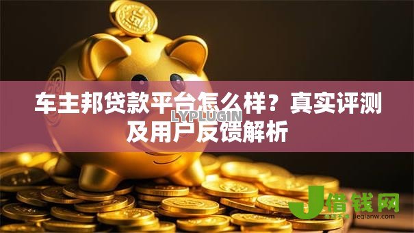 车主邦贷款平台怎么样？真实评测及用户反馈解析