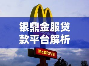 银鼎金服贷款平台解析：正规性、产品及申请流程全指南