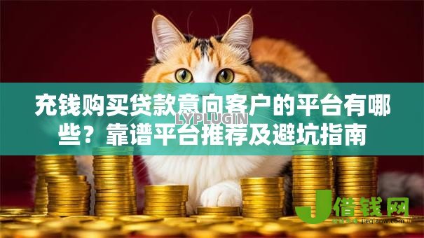 充钱购买贷款意向客户的平台有哪些？靠谱平台推荐及避坑指南