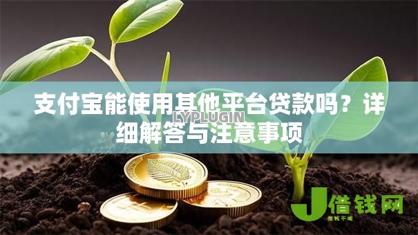 支付宝能使用其他平台贷款吗？详细解答与注意事项