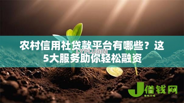 农村信用社贷款平台有哪些?这5大服务助你轻松融资 农村信用社贷款平台有哪些?这5大服务助你轻松融资
