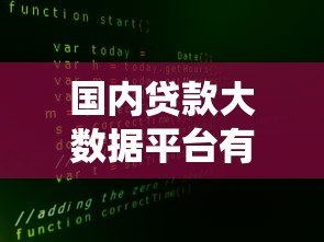 国内贷款大数据平台有多少个？权威统计与核心功能解析