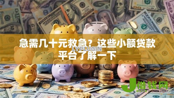 急需几十元救急？这些小额贷款平台了解一下