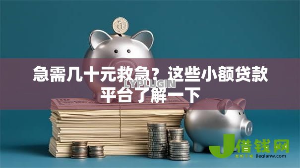急需几十元救急？这些小额贷款平台了解一下