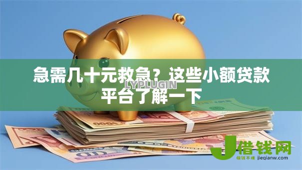 急需几十元救急？这些小额贷款平台了解一下