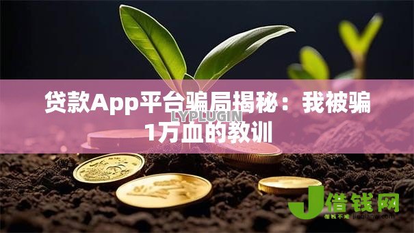 贷款App平台骗局揭秘：我被骗1万血的教训