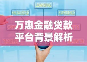 万惠金融贷款平台背景解析：可靠性与服务深度剖析