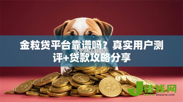 金粒贷平台靠谱吗?真实用户测评+贷款攻略分享 金粒贷平台靠谱吗?真实用户测评+贷款攻略分享