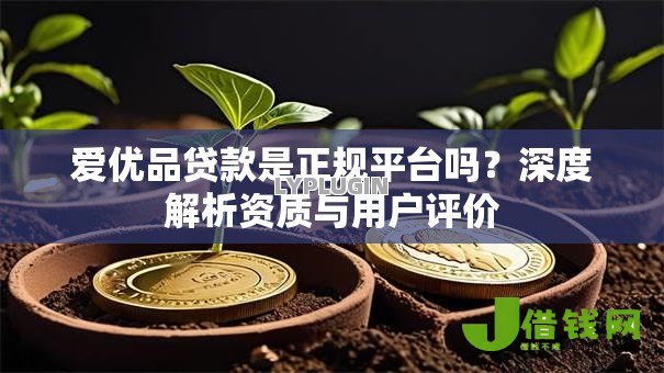 爱优品贷款是正规平台吗？深度解析资质与用户评价