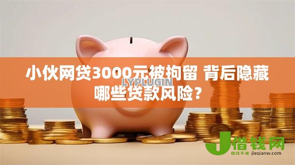 小伙网贷3000元被拘留 背后隐藏哪些贷款风险? 小伙网贷3000元被拘留 背后隐藏哪些贷款风险?