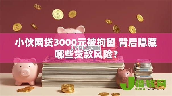 小伙网贷3000元被拘留 背后隐藏哪些贷款风险? 小伙网贷3000元被拘留 背后隐藏哪些贷款风险?