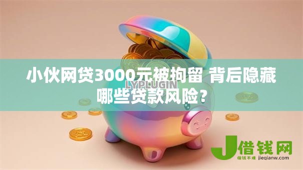 小伙网贷3000元被拘留 背后隐藏哪些贷款风险? 小伙网贷3000元被拘留 背后隐藏哪些贷款风险?
