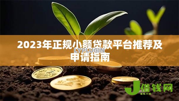 2023年正规小额贷款平台推荐及申请指南