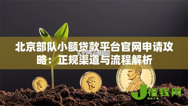 北京部队小额贷款平台官网申请攻略：正规渠道与流程解析