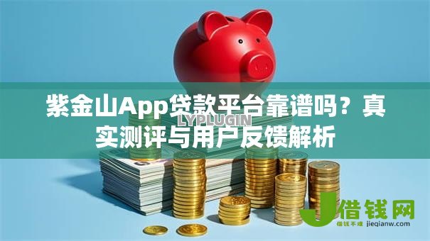 紫金山App贷款平台靠谱吗？真实测评与用户反馈解析