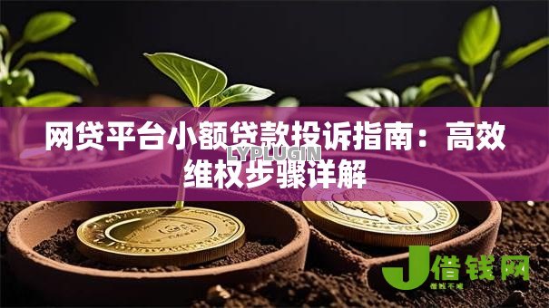 网贷平台小额贷款投诉指南：高效维权步骤详解