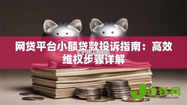 网贷平台小额贷款投诉指南：高效维权步骤详解