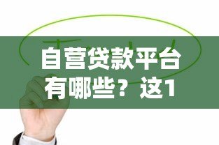 自营贷款平台有哪些？这10家正规机构值得关注