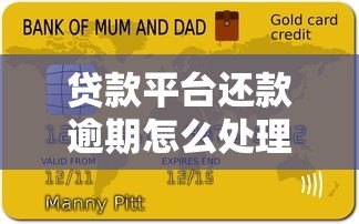 贷款平台还款逾期怎么处理？实用解决指南