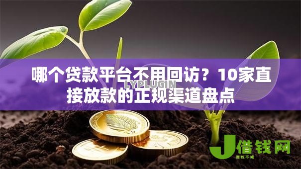 哪个贷款平台不用回访？10家直接放款的正规渠道盘点