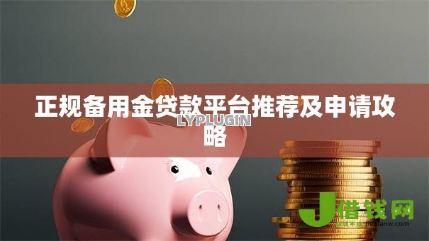 正规备用金贷款平台推荐及申请攻略