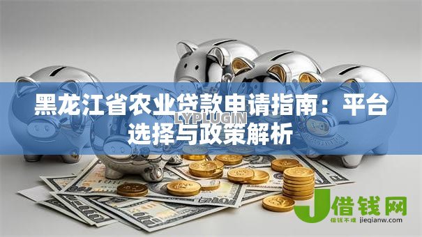 黑龙江省农业贷款申请指南:平台选择与政策解析 黑龙江省农业贷款申请指南:平台选择与政策解析