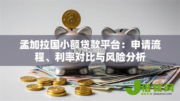 孟加拉国小额贷款平台:申请流程、利率对比与风险分析 孟加拉国小额贷款平台:申请流程、利率对比与风险分析