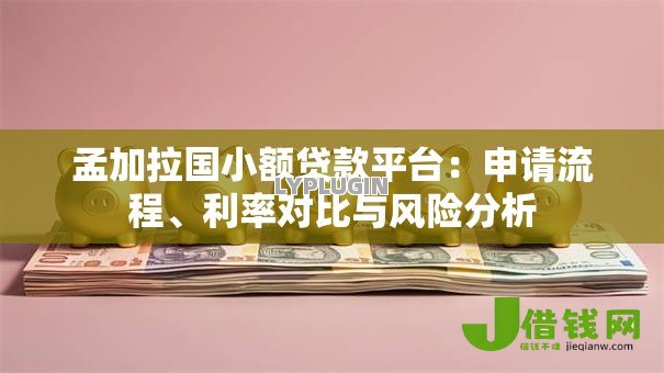 孟加拉国小额贷款平台:申请流程、利率对比与风险分析 孟加拉国小额贷款平台:申请流程、利率对比与风险分析