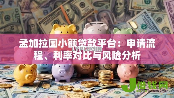 孟加拉国小额贷款平台:申请流程、利率对比与风险分析 孟加拉国小额贷款平台:申请流程、利率对比与风险分析