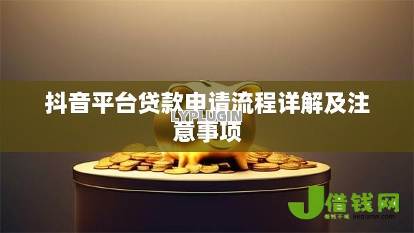 抖音平台贷款申请流程详解及注意事项