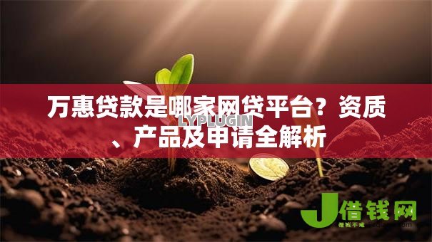 万惠贷款是哪家网贷平台?资质、产品及申请全解析 万惠贷款是哪家网贷平台?资质、产品及申请全解析