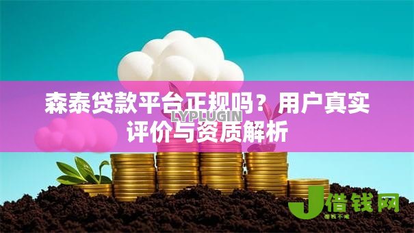 森泰贷款平台正规吗？用户真实评价与资质解析