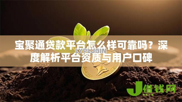 宝聚通贷款平台怎么样可靠吗？深度解析平台资质与用户口碑