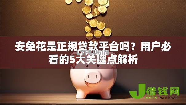 安免花是正规贷款平台吗？用户必看的5大关键点解析